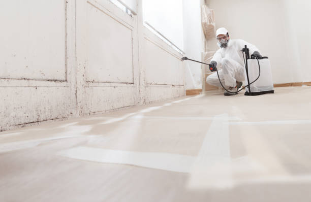 24/7 Emergency Mold Cleanup experts in Mead, WA